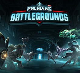 Paladins